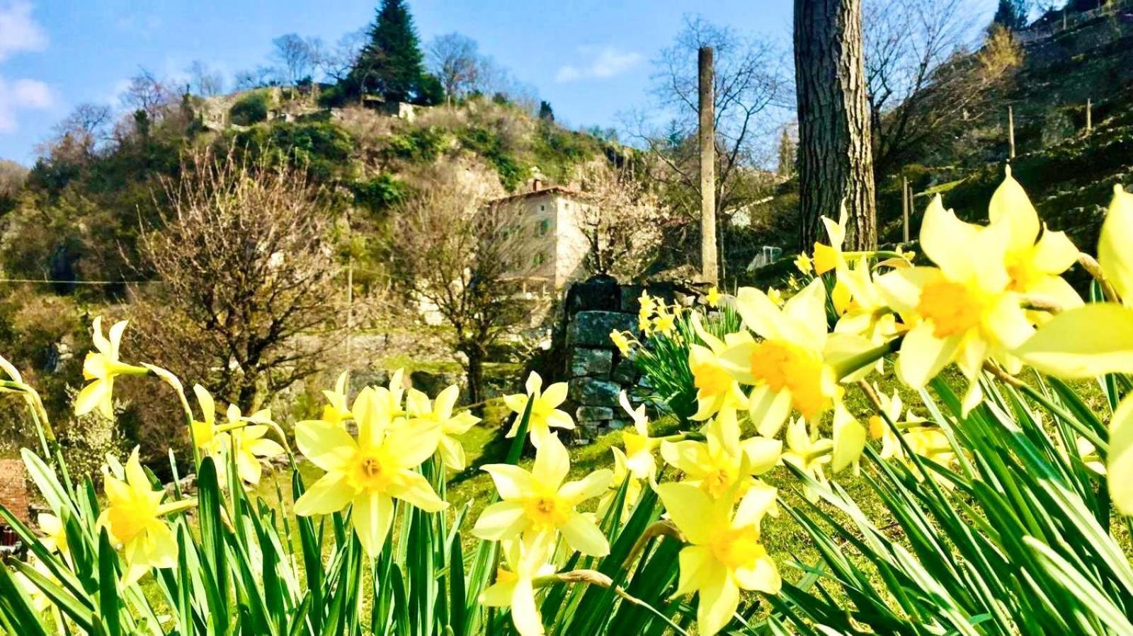 Вілла La Casa Sulla Collina Del Castello Брено Екстер'єр фото