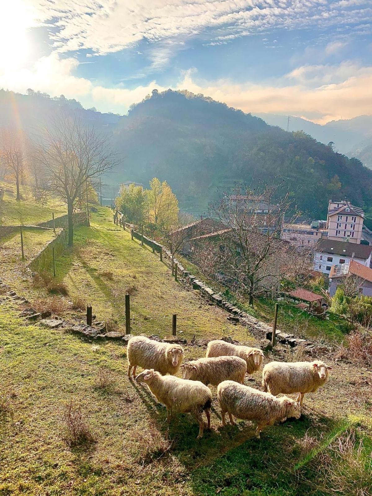 Вілла La Casa Sulla Collina Del Castello Брено Екстер'єр фото